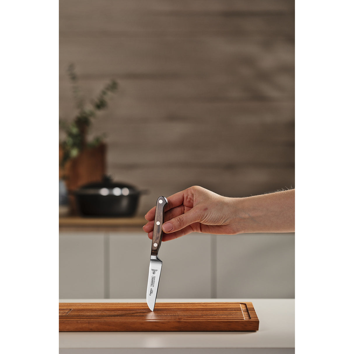 3 colių daržovių ir vaisių peilis iš šimtmečio medienos